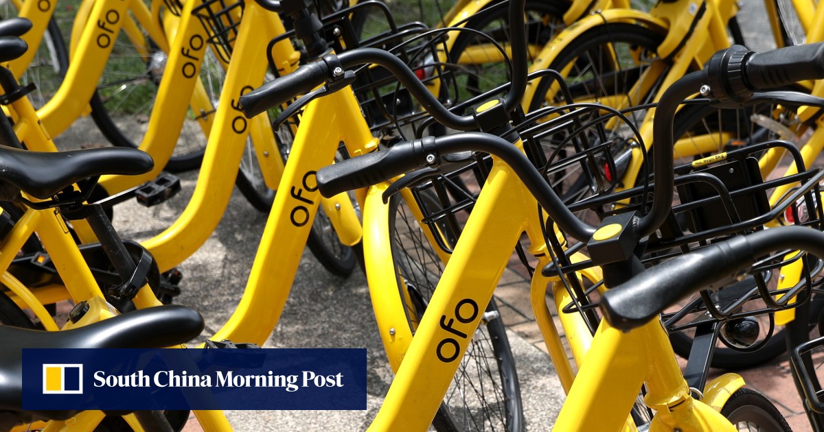 Ofo 2019 new arrivals