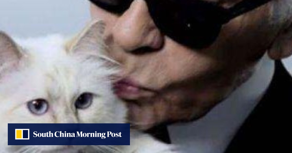How Karl Lagerfeld's cat Choupette, already a millionaire, could become the  richest feline on the planet