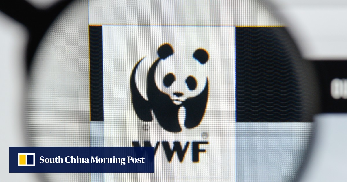 WWF launches probe after it was accused of funding paramilitary forces ...