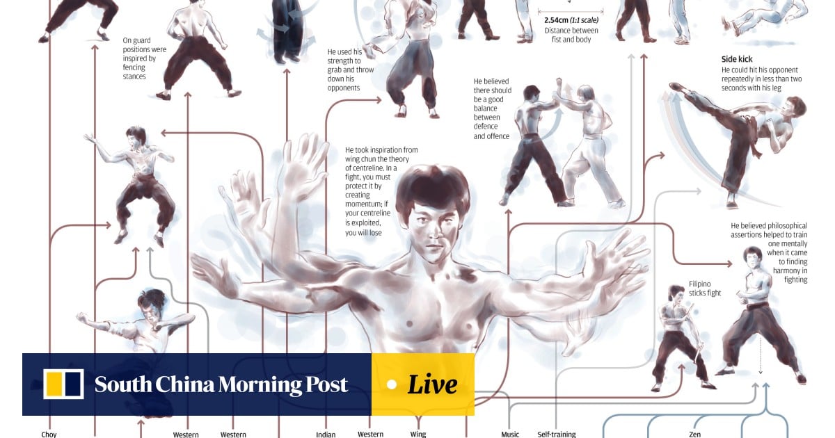 Bruce lee techniques on sale