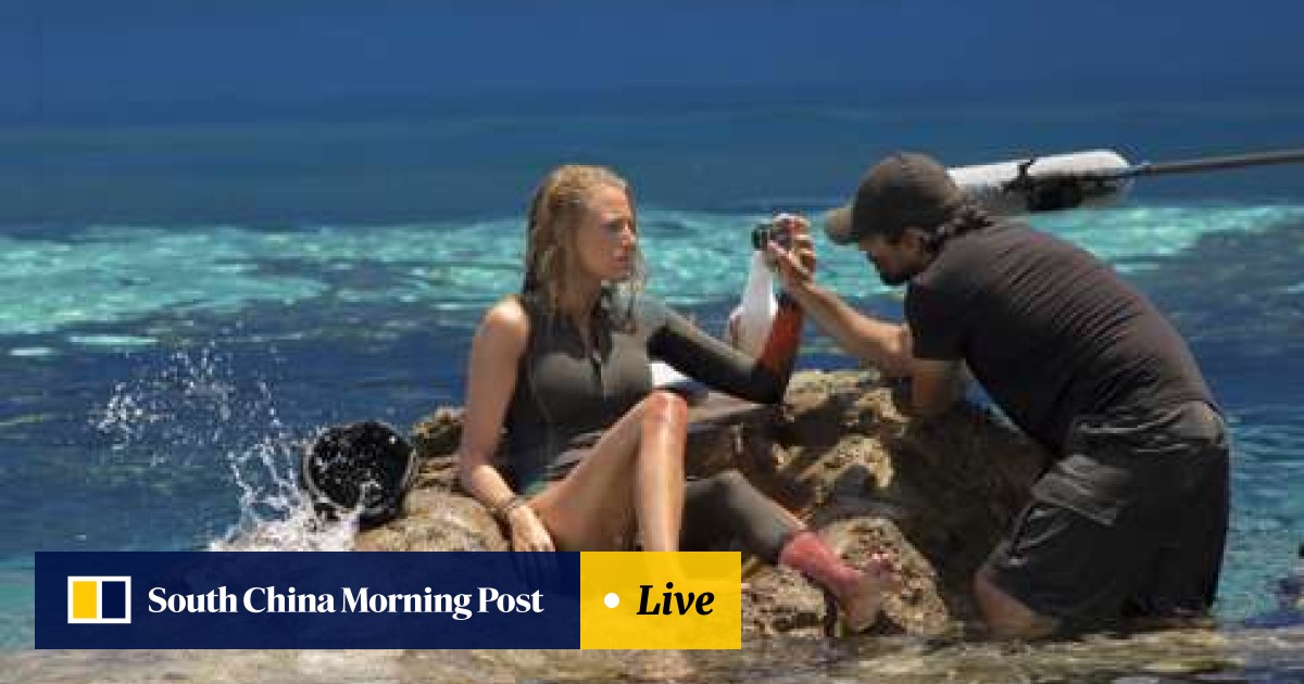 The Shallows Review - What Happens in the Blake Lively Movie The Shallows
