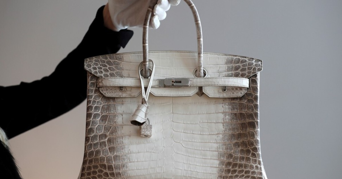 Is the Hermès Birkin 35 Himalayan the RAREST Bag?  An Incredible Luxury  Handbag Investment! 