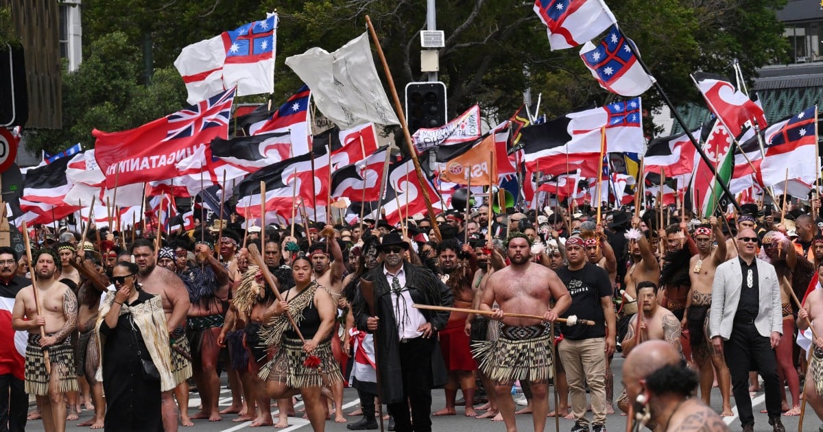Tens of thousands of Maori, supporters march on New Zealand's