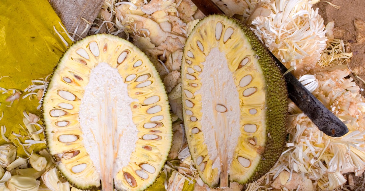 Why Jackfruit Is Good For You The Health Benefits Of Vegan Meat