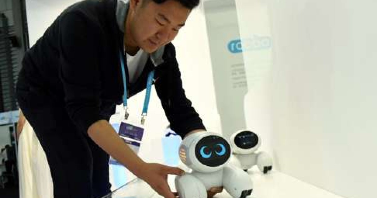 Domgy robot on sale