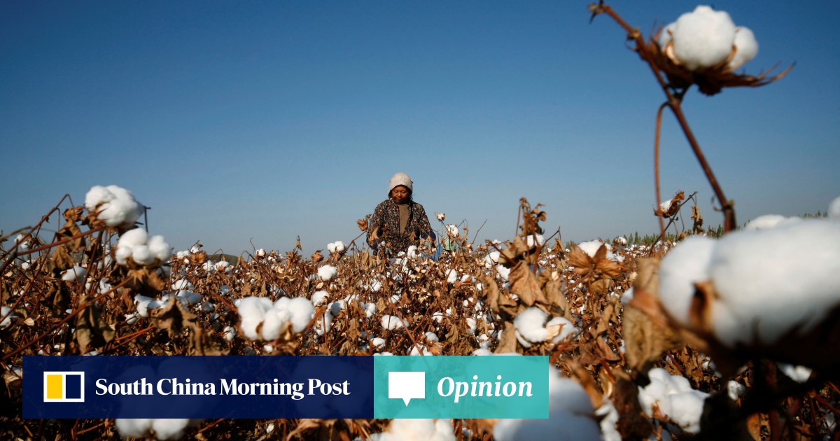 Opinion Why I’m sitting out the Xinjiang cotton boycott South China