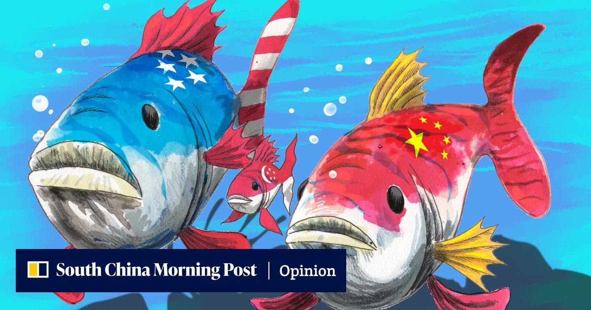 Opinion | How ‘poisonous shrimp’ Singapore became the US’ undeclared ...