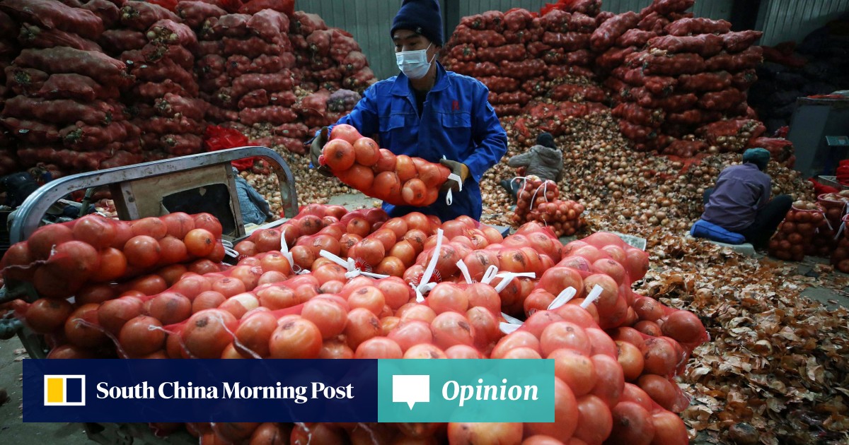 Opinion Why China should worry about food price inflation despite