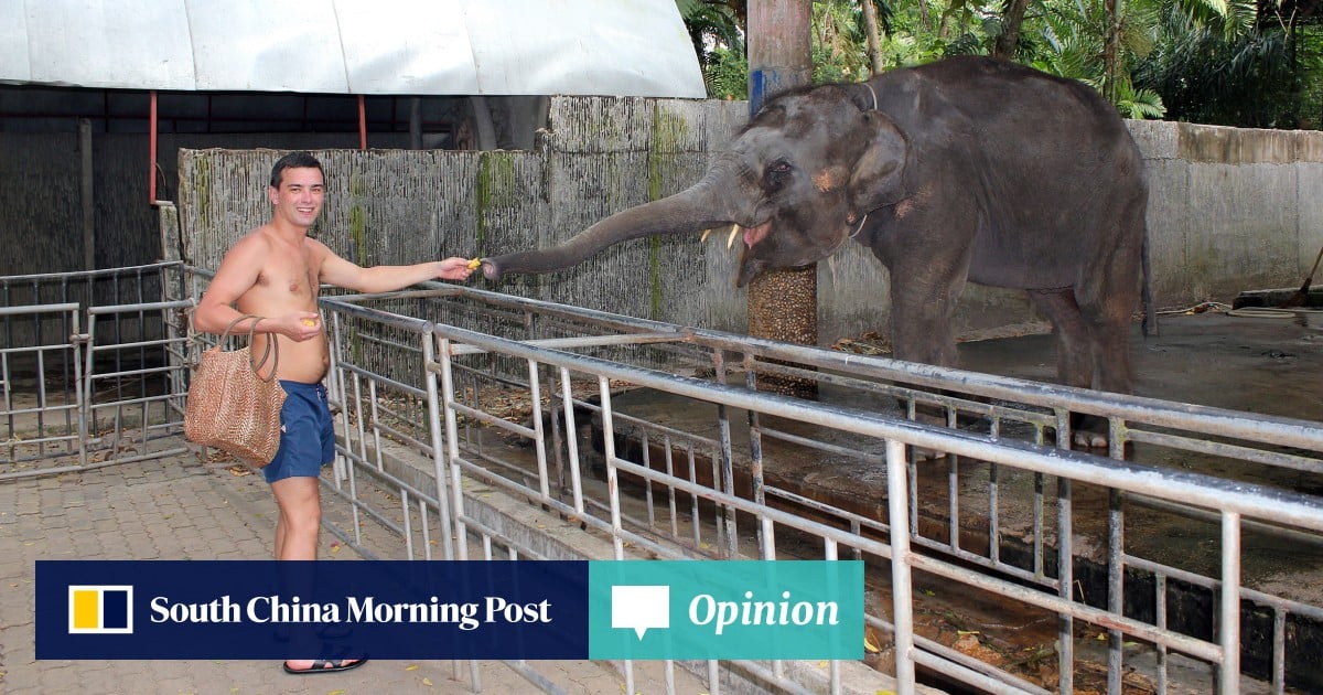 Opinion | ‘Hell on earth’: Zoo in Thailand long accused of animal abuse ...