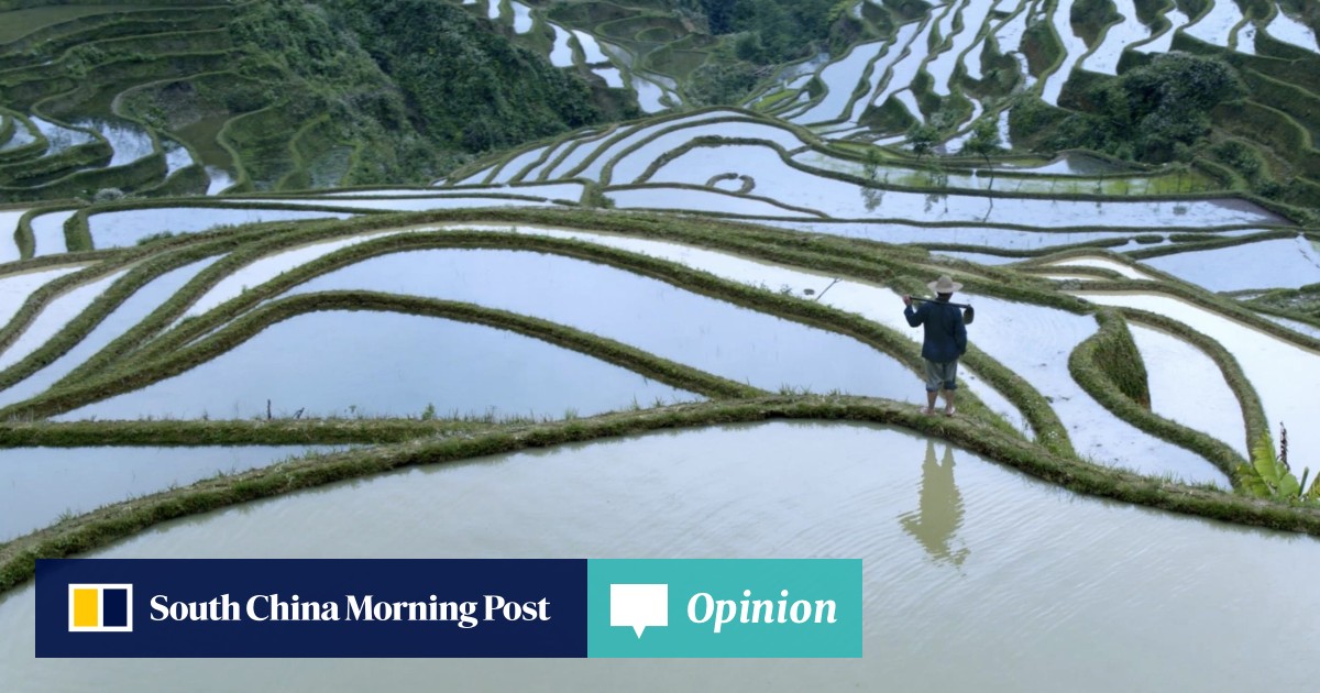 China’s seasonal rhythms brilliantly captured in BBC Earth series