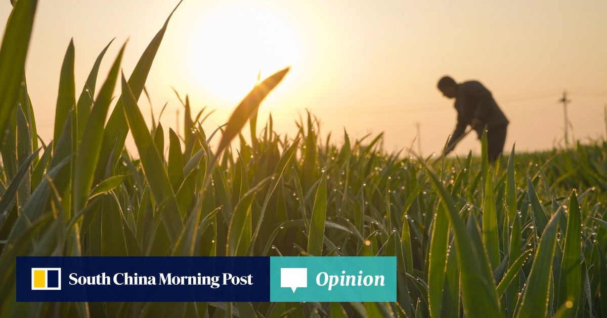Outside In | How China’s food security challenges shape its decisions at home and abroad