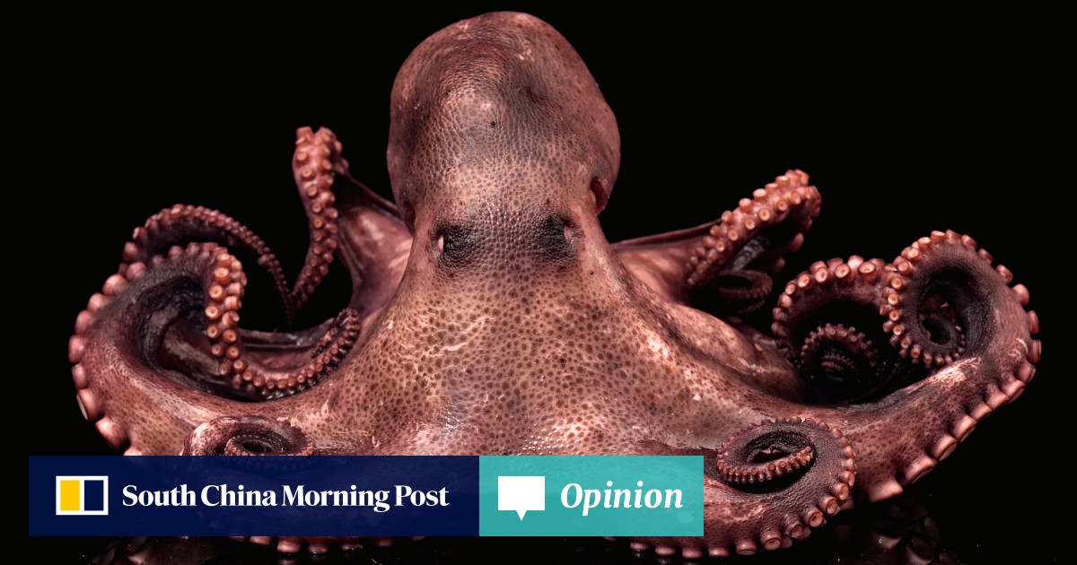 opinion-octopus-word-origin-the-correct-plural-form-and-the-chinese