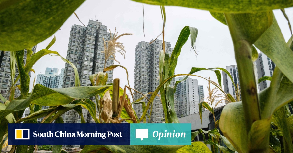 Opinion Hong Kong gardening manuals are time capsules that chart the