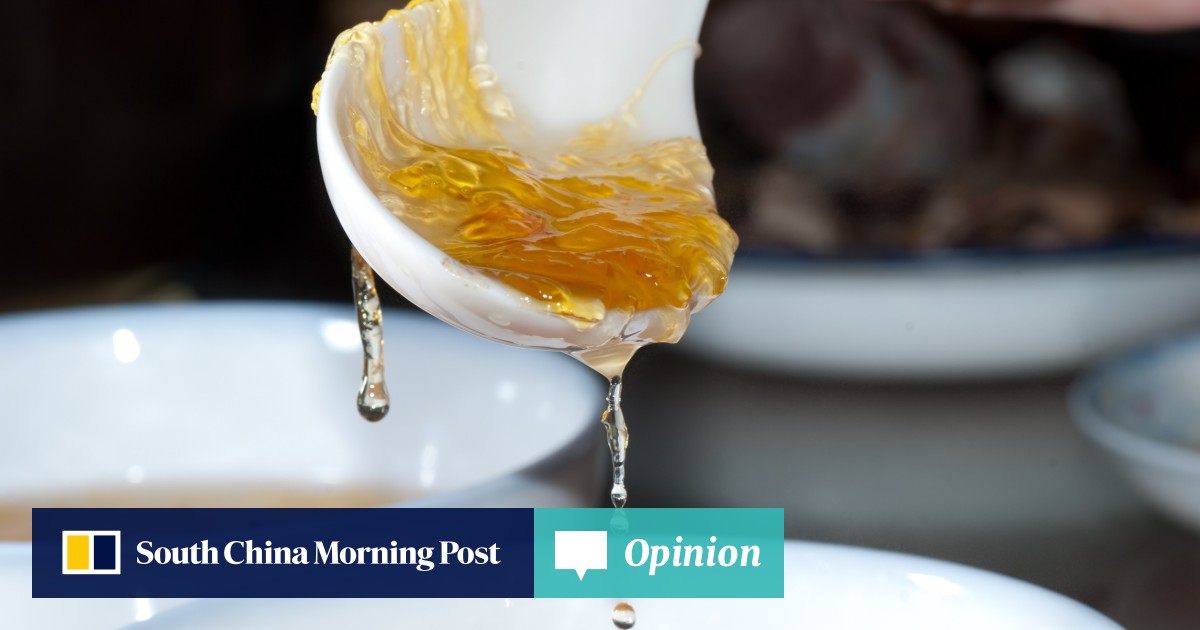 Opinion What is edible bird’s nest and its supposed benefits? Plus