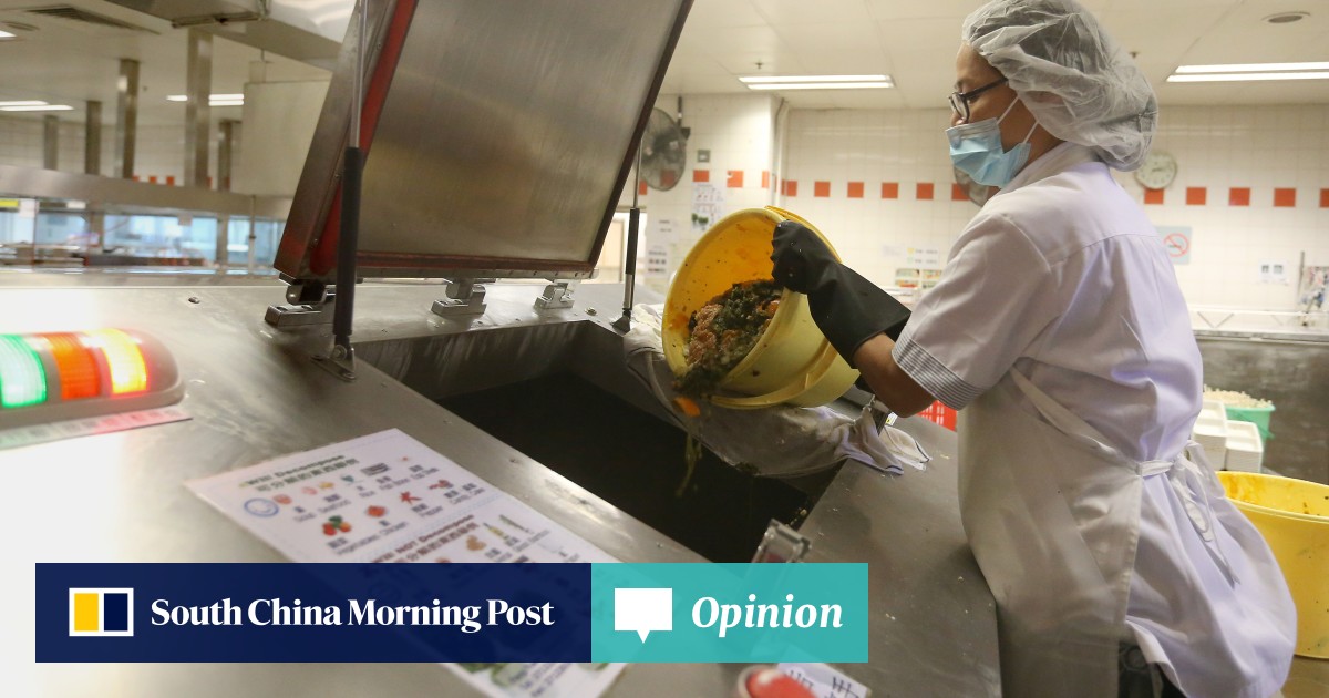 China Raising Rats Opinion | Hong Kong’s crackdown on rats must also deal with food waste ...