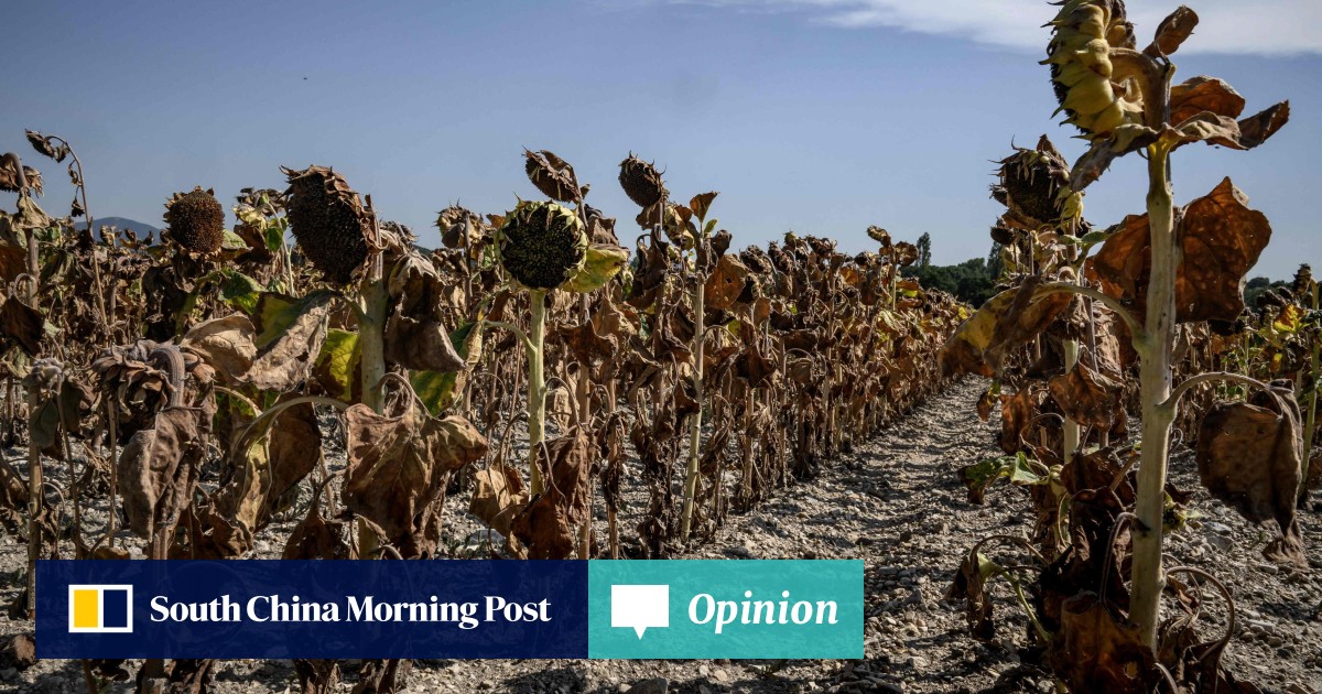 Opinion | 2023 was the hottest in 125,000 years. But it won’t be the last