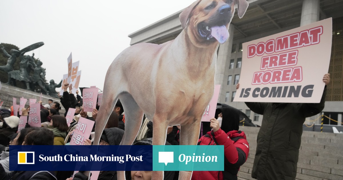 Opinion | South Korea’s dog meat ban a signal to China to follow suit