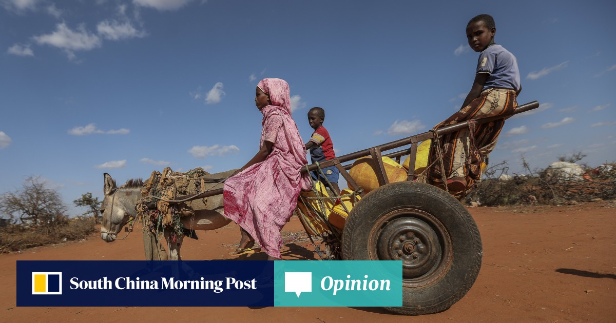Opinion | In Africa, China needs ‘donkey diplomacy’