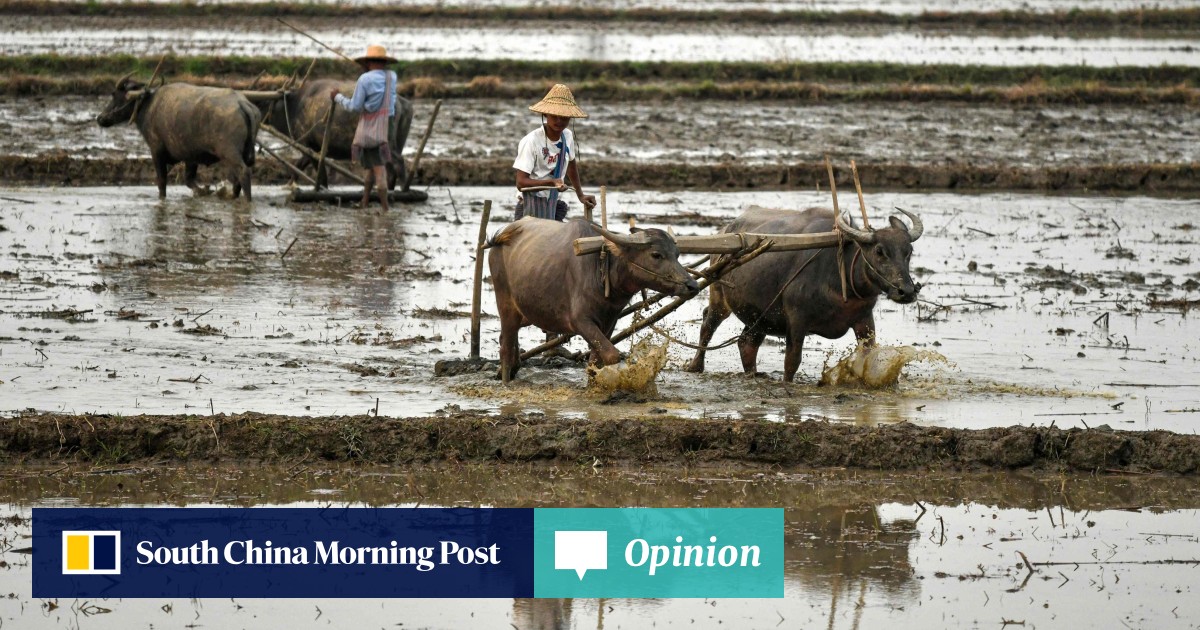 Opinion | How more Asean-China agricultural trade could reshape regional, global markets