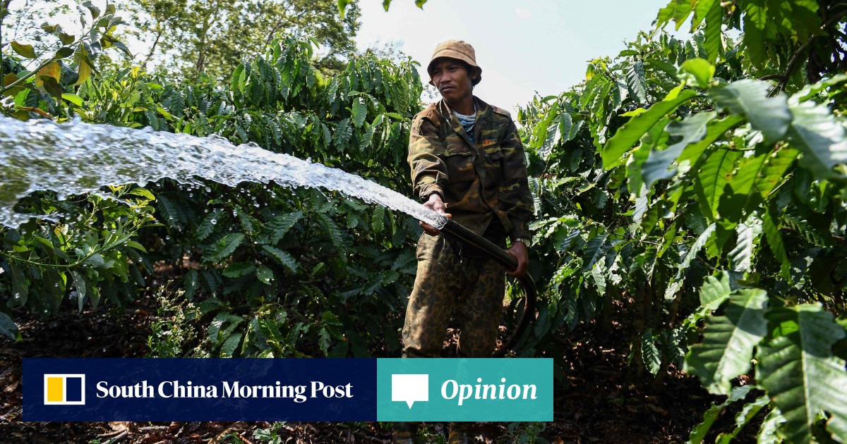 Opinion | Climate change threat is more than a storm in Vietnam’s coffee cup