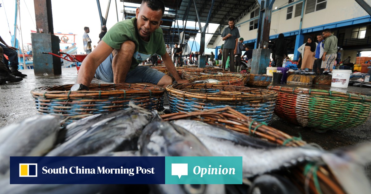 Opinion | Calls for sustainable fishing must include Asia to be truly effective