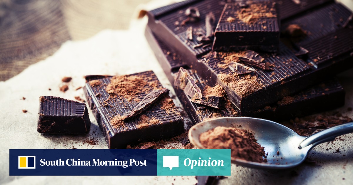 Opinion | Where chocolate and cacao came from, the words’ history and why Europe was late to the party