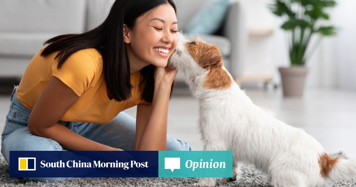 https://cdn.i-scmp.com/sites/default/files/styles/og_image_scmp_opinion/public/d8/images/canvas/2025/05/02/a2e22222-283a-4c34-9b4f-d5caf6d21969_bf38c6a5.jpg?itok=ckhgelzy&v=1746167917