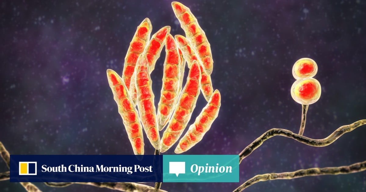 https://cdn.i-scmp.com/sites/default/files/styles/og_image_scmp_opinion/public/d8/images/canvas/2025/06/08/bdd793c7-8e90-4b50-86e0-2a024f90c91e_dfa8d828.jpg?itok=KLaQhhPn&v=1749384652