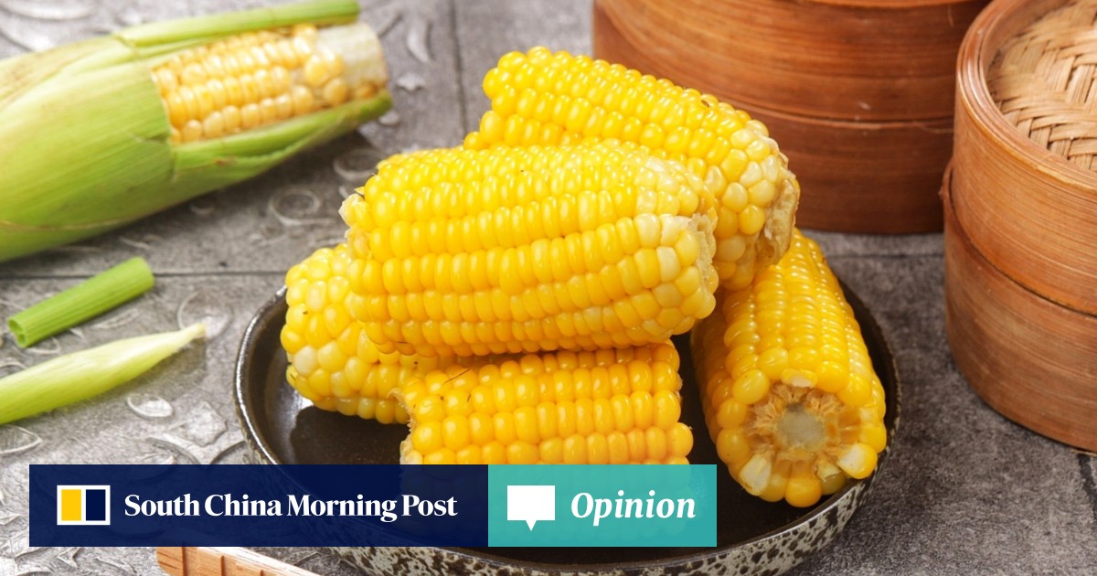 https://cdn.i-scmp.com/sites/default/files/styles/og_image_scmp_opinion/public/d8/images/canvas/2025/07/02/2f1a7b80-e51d-4a28-b1db-efdbd58d6165_9c191a10.jpg?itok=r7menpGM&v=1751420788