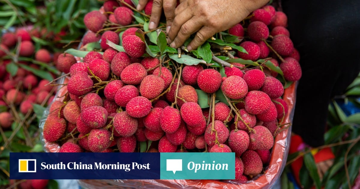 https://cdn.i-scmp.com/sites/default/files/styles/og_image_scmp_opinion/public/d8/images/canvas/2025/07/04/699cad1b-c7b6-4648-8d42-26db2db733b8_c6572edc.jpg?itok=sFD4vp_1&v=1751624662