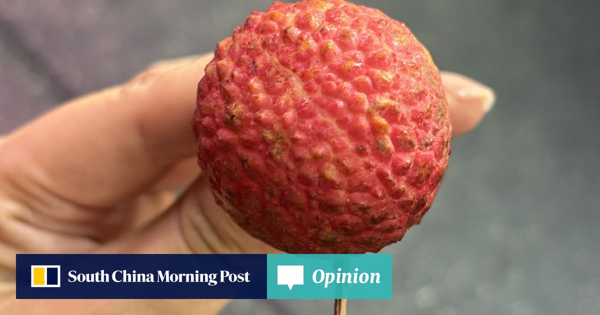 https://cdn.i-scmp.com/sites/default/files/styles/og_image_scmp_opinion/public/d8/images/canvas/2025/07/09/7b3c98c6-f6fb-4f73-89c9-568890811284_afb79acc.jpg?itok=8DHh60eJ&v=1752038052