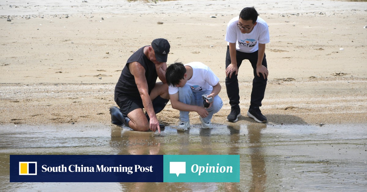 https://cdn.i-scmp.com/sites/default/files/styles/og_image_scmp_opinion/public/d8/images/canvas/2025/07/14/36fbaafe-742e-4732-932e-fbde9985d01f_c23658b7.jpg?itok=13-eGisg&v=1752472508