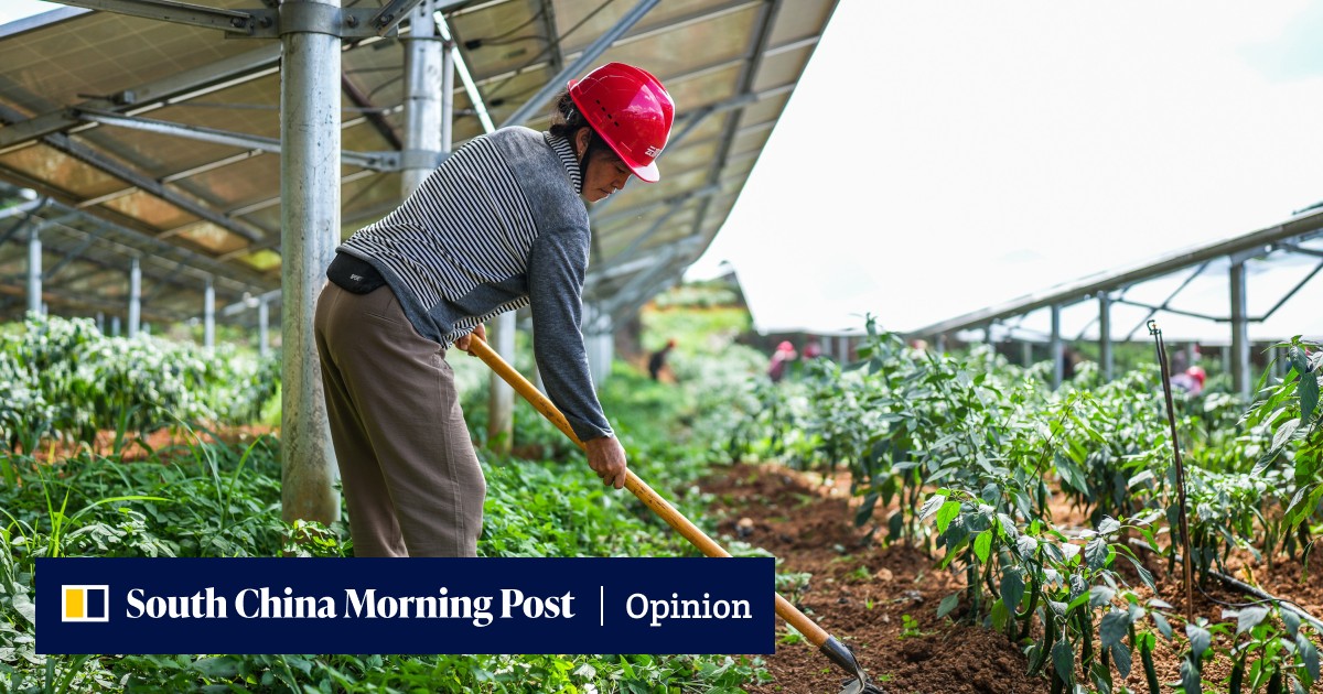 Opinion | China must ensure its green energy leadership is good for the ...