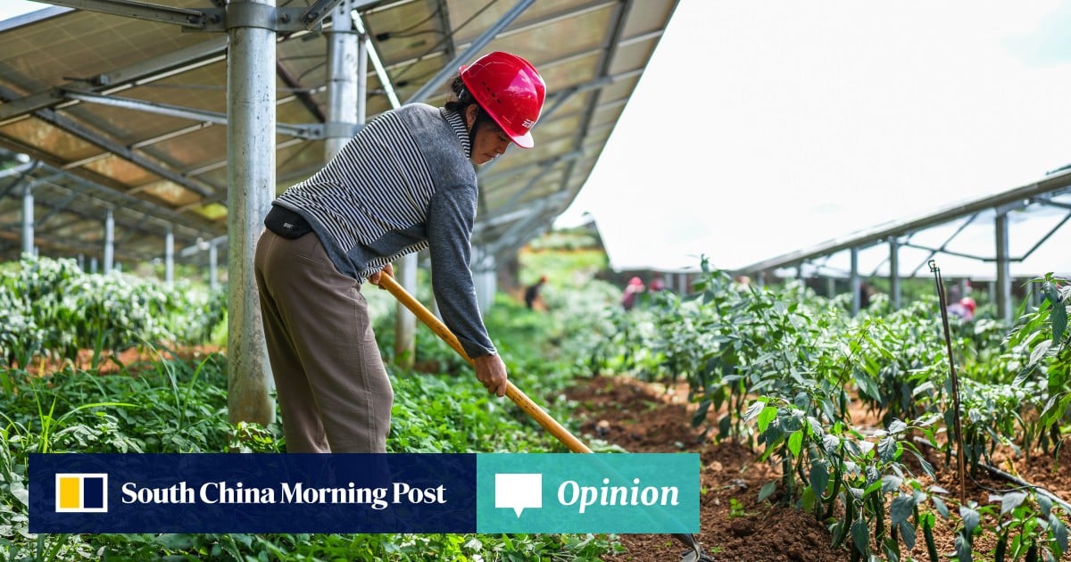 https://cdn.i-scmp.com/sites/default/files/styles/og_image_scmp_opinion/public/d8/images/canvas/2025/08/05/5b37a9d2-9dca-48c7-9123-e30c35c4e1a0_659a9a91.jpg?itok=jgxB4uWt&v=1754388357