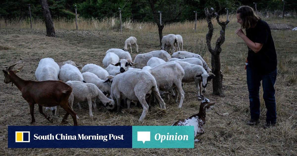 https://cdn.i-scmp.com/sites/default/files/styles/og_image_scmp_opinion/public/d8/images/canvas/2025/08/07/cbcd16aa-8b2d-4508-ac1b-6232c677f819_d43ad7e4.jpg?itok=aWLPtLBC&v=1754564538