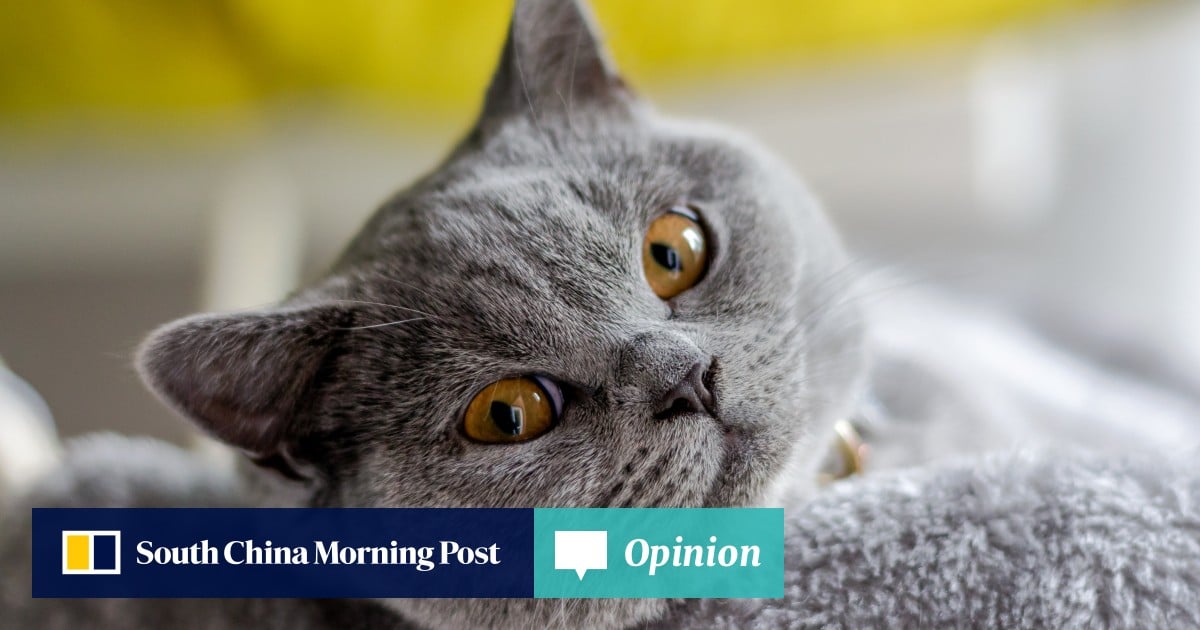 https://cdn.i-scmp.com/sites/default/files/styles/og_image_scmp_opinion/public/d8/images/canvas/2025/08/09/db73ad54-c3a1-47d3-ac78-abe1e8f7382e_44dddbd5.jpg?itok=rup2b28B&v=1754749366