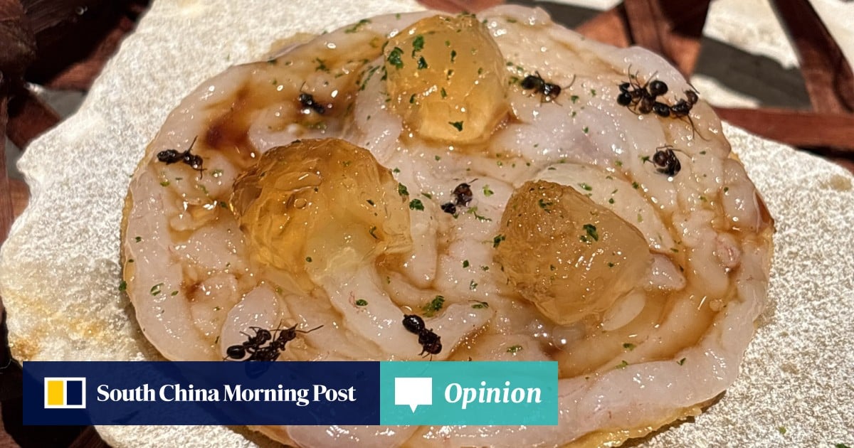 https://cdn.i-scmp.com/sites/default/files/styles/og_image_scmp_opinion/public/d8/images/canvas/2025/08/20/9e292938-c3ca-46fb-a010-f83373188d6c_77cfd3a1.jpg?itok=kwiyG9cR&v=1755684069