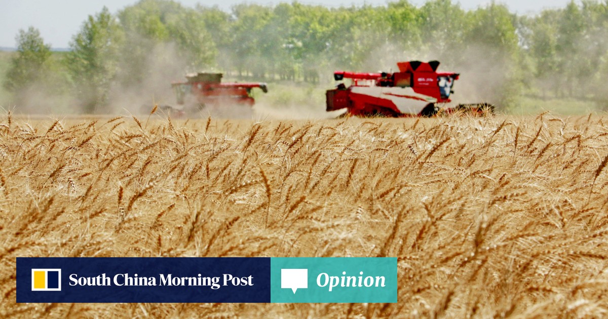 https://cdn.i-scmp.com/sites/default/files/styles/og_image_scmp_opinion/public/d8/images/canvas/2025/08/28/be232264-9456-4390-8f40-9d6f77caee1a_51f97545.jpg?itok=L_RLijx1&v=1756350105