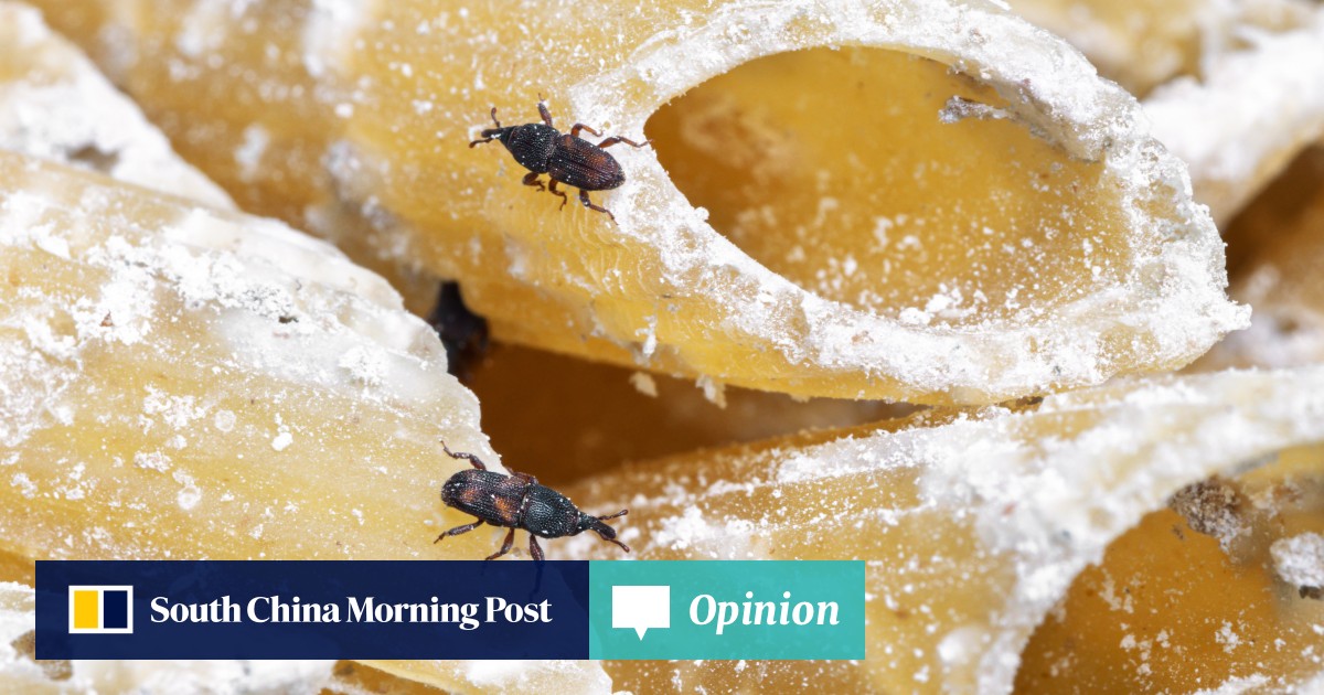 https://cdn.i-scmp.com/sites/default/files/styles/og_image_scmp_opinion/public/d8/images/canvas/2025/09/10/91ddd5e6-a053-4245-8067-90bd3204132a_a528493d.jpg?itok=46XAHIGy&v=1757471514