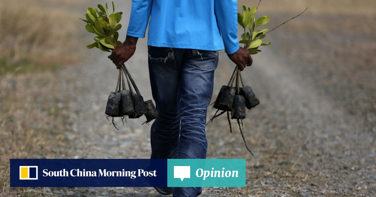 Opinion | Asia must enlist nature’s defences against fury of extreme weather