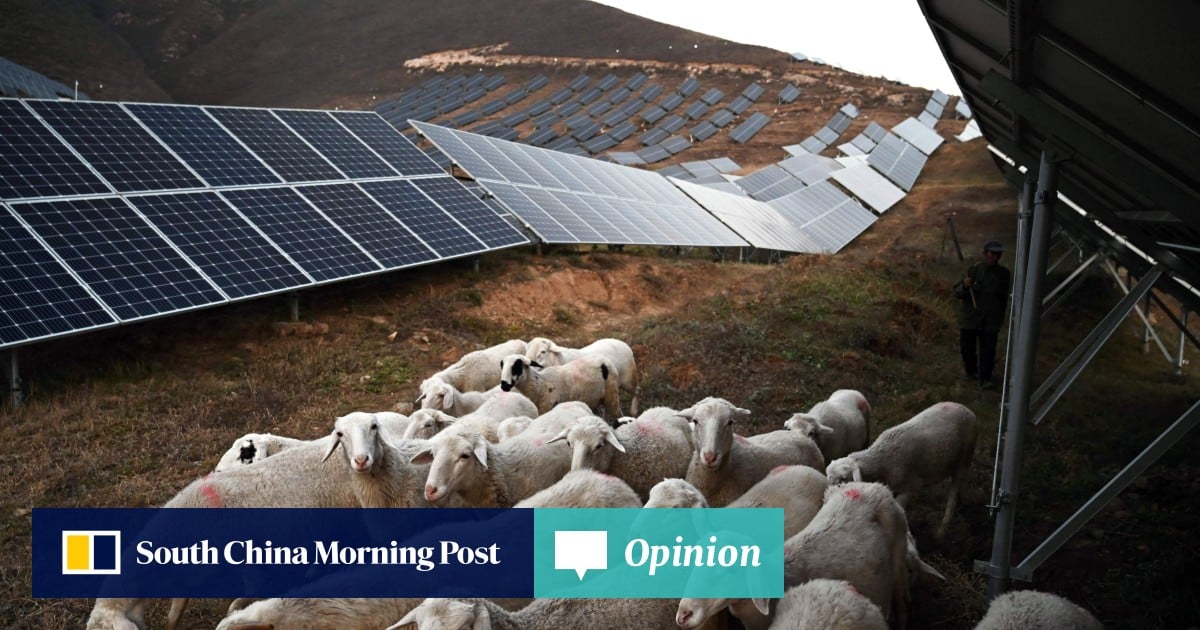 Opinion | Can China balance green ambition with everyday ways of life?