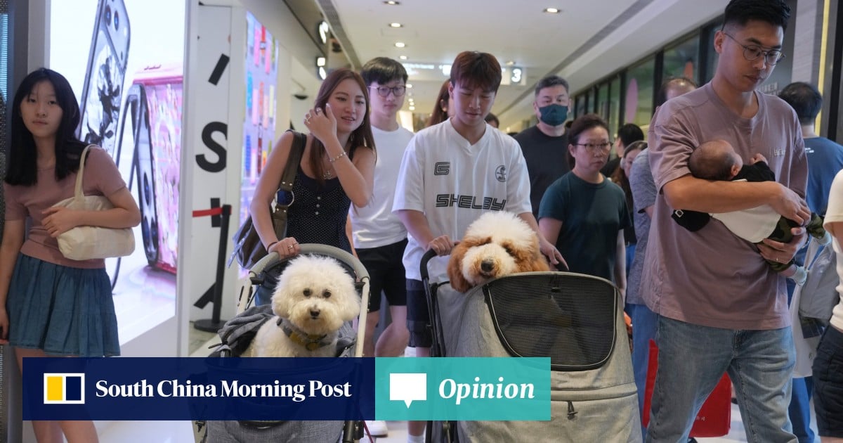 https://cdn.i-scmp.com/sites/default/files/styles/og_image_scmp_opinion/public/d8/images/canvas/2026/02/08/ab847fb5-090d-4de8-ac49-dd48c0786d51_16a32c59.jpg?itok=pc7Ex2ve&v=1770517949