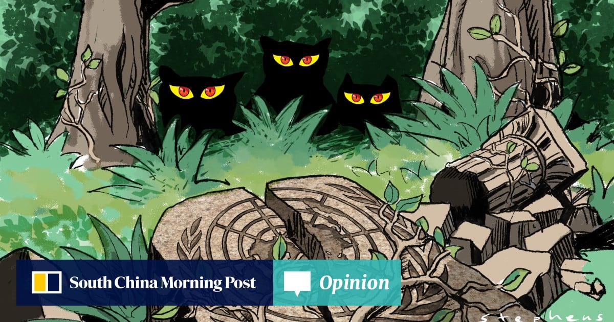 Attack on Iran normalises global descent into the ‘law of the jungle’