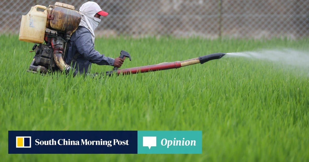 Asia must unite to avert an Iran war food crisis