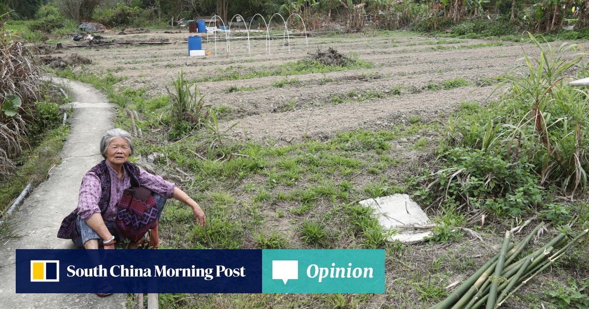 Hong Kong’s Northern Metropolis project needn’t neglect agriculture