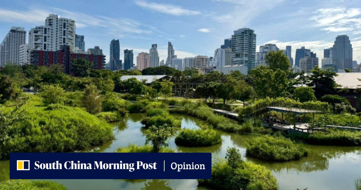 Bangkok branches out: secret to Thai capital’s green revival