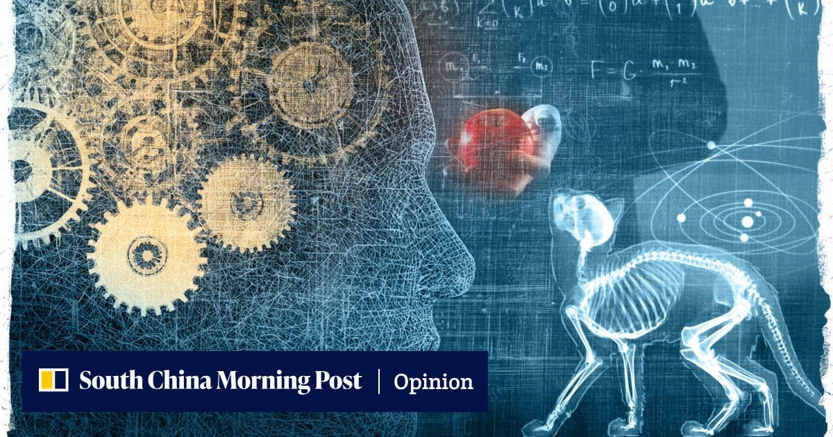Cats and mind-full mechanics: what happens when quantum physics meets the brain