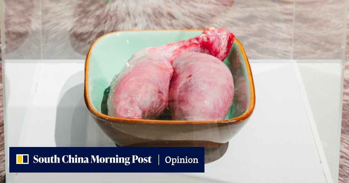 https://cdn.i-scmp.com/sites/default/files/styles/og_image_scmp_opinion/public/d8/images/canvas/2026/10/01/05c9e8b2-a767-4d98-ac72-1e5bc2a96a7f_2e16897d.jpg?itok=rQ67dZQ5&v=1790826788