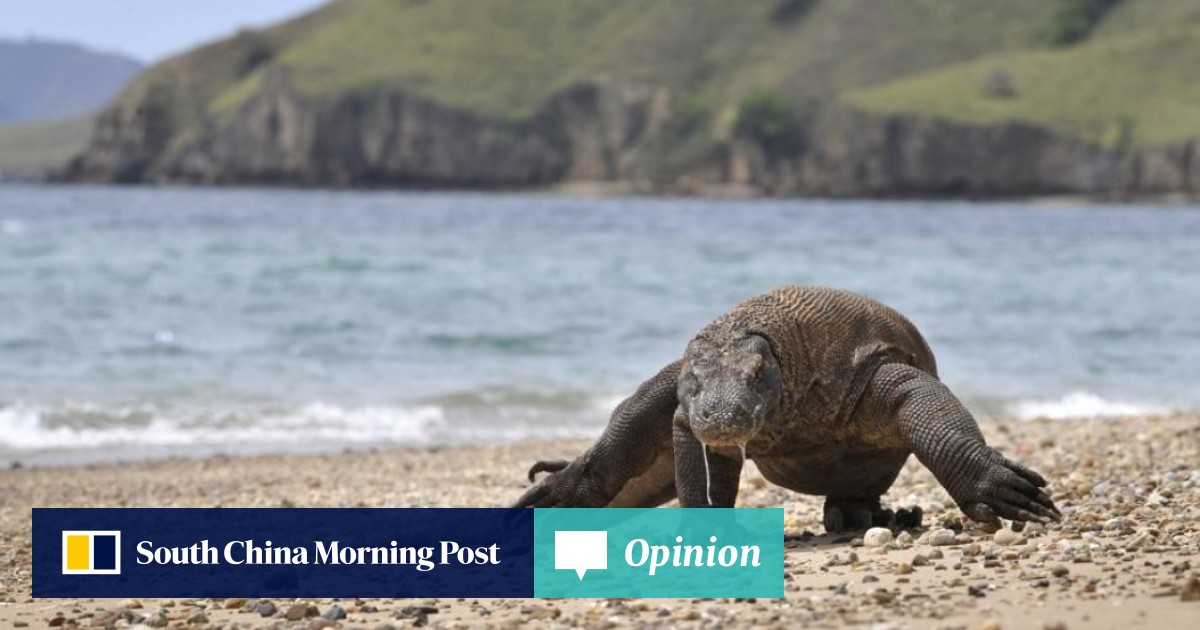 Opinion | The closure of Komodo National Park could be more damaging to