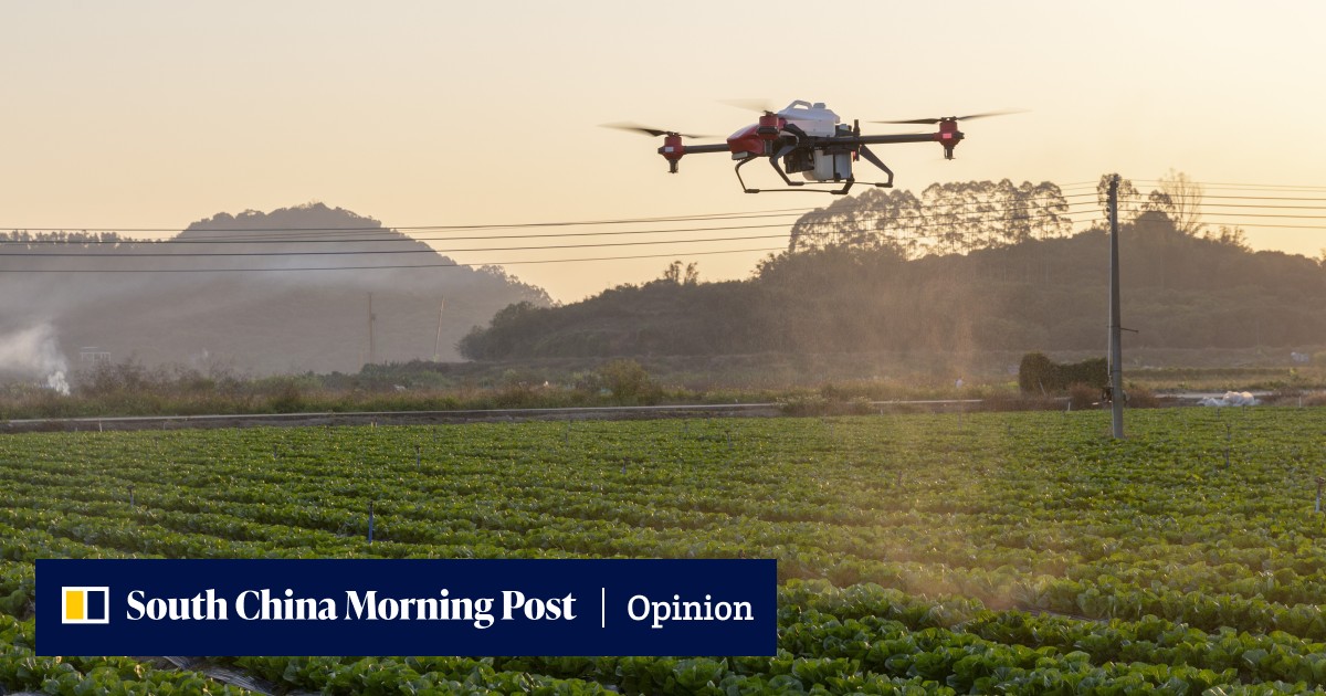 Macroscope | In trade war talks, China may want US agricultural imports ...
